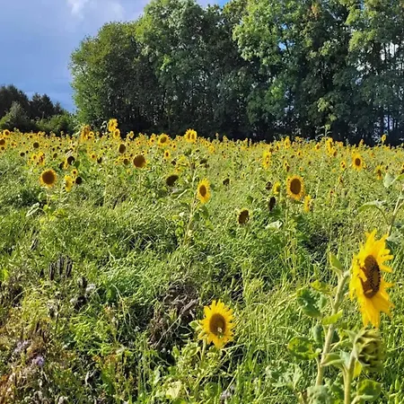 5 Person In Hesselager-by Traum Hébergement de vacances Hesselager
