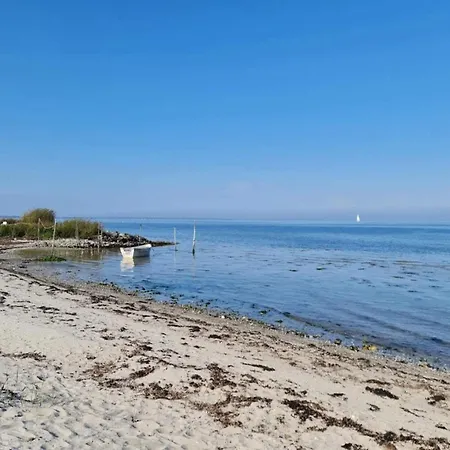 5 Person In Hesselager-by Traum Hesselager