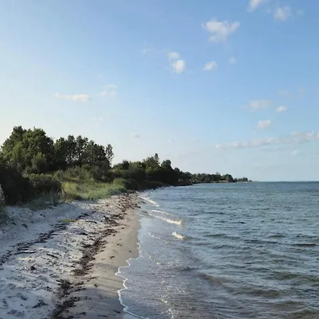 5 Person In Hesselager-by Traum *