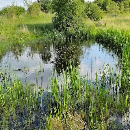 5 Person In Hesselager-by Traum Hébergement de vacances Hesselager